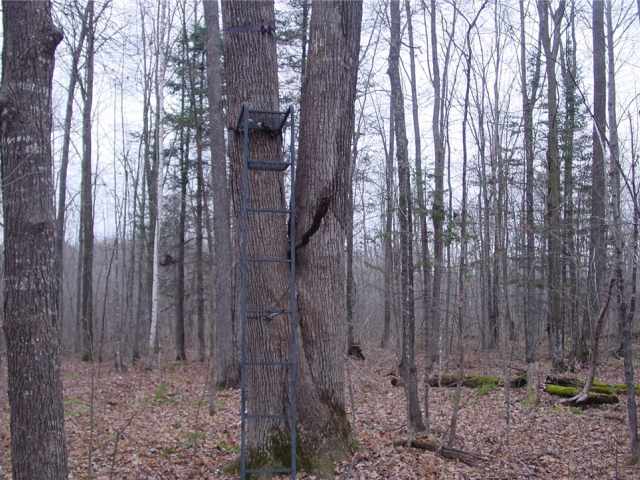 Ladysmith Land Real Estate