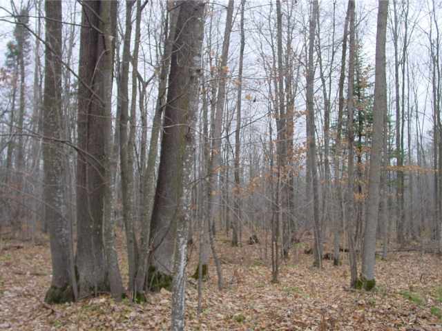 Ladysmith Land Real Estate