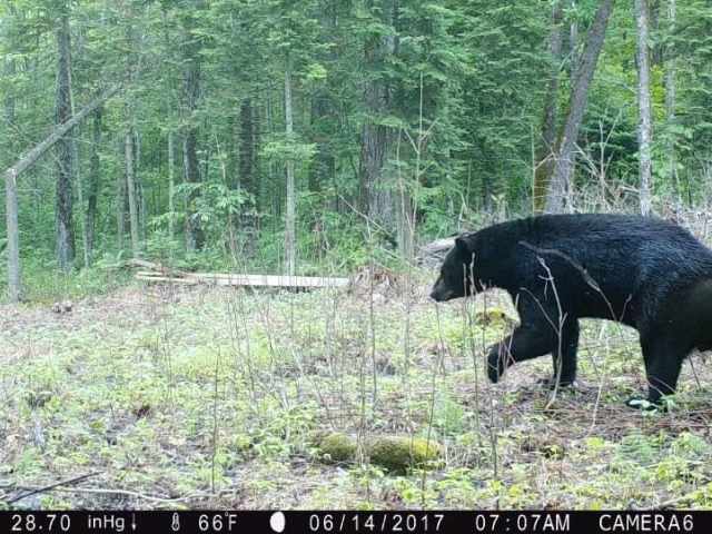 Ladysmith Land Real Estate