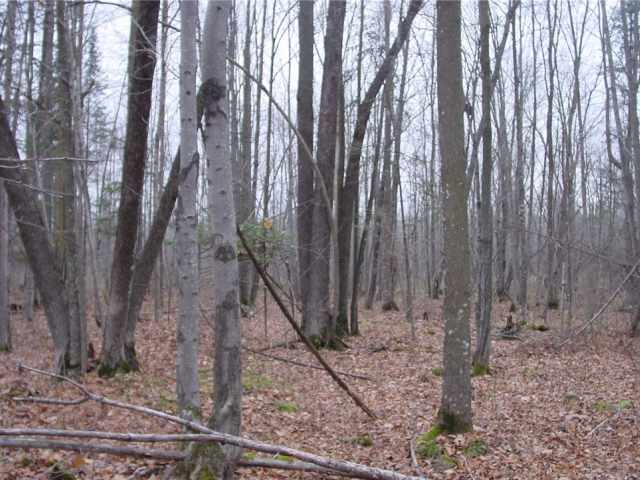 Ladysmith Land Real Estate