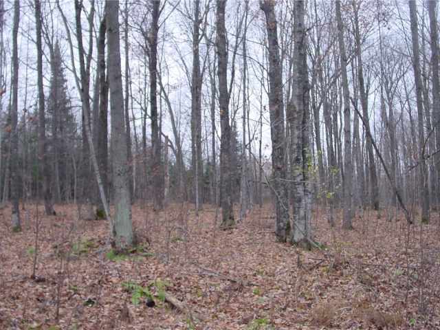 Ladysmith Land Real Estate