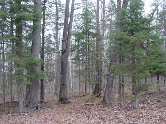 Ladysmith Land Real Estate