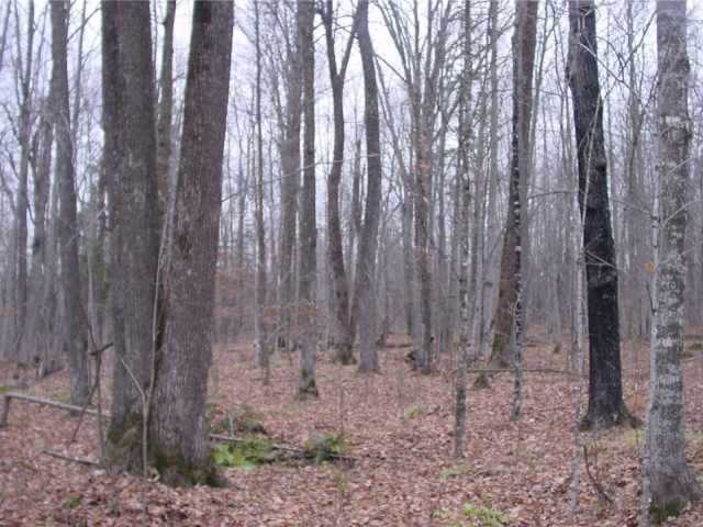 Ladysmith Land Real Estate