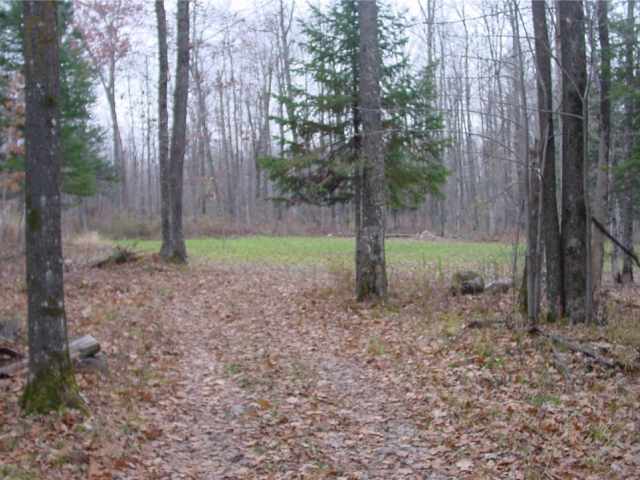 Ladysmith Land Real Estate