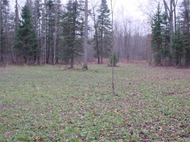 Ladysmith Land Real Estate