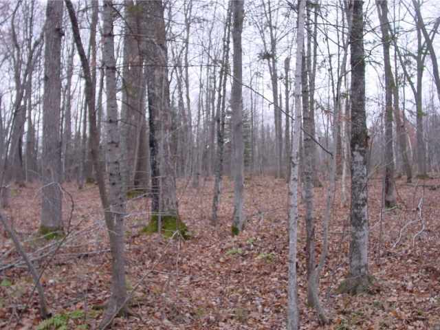 Ladysmith Land Real Estate