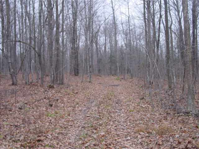 Ladysmith Land Real Estate