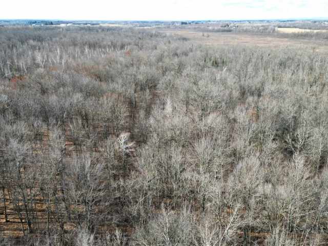 Ladysmith Land Real Estate