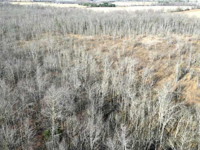 Ladysmith Land Real Estate