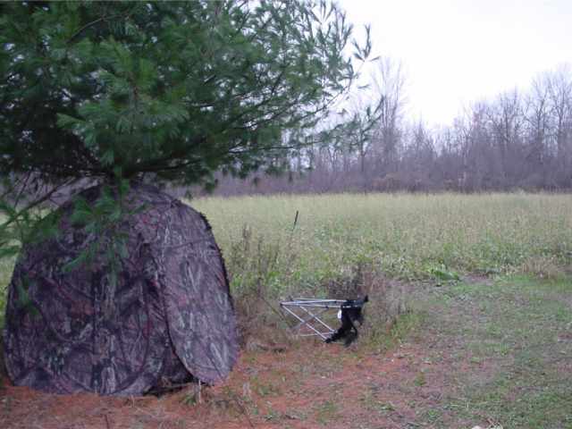 Ladysmith Land Real Estate