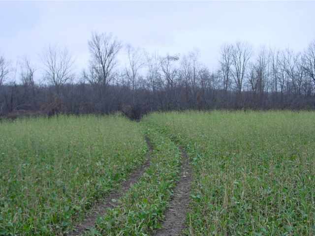 Ladysmith Land Real Estate