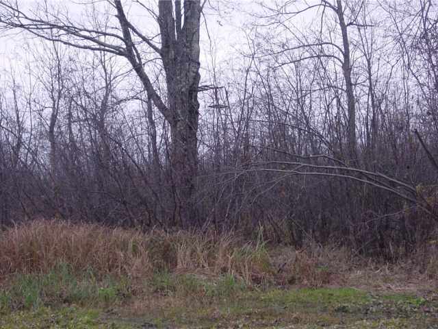 Ladysmith Land Real Estate