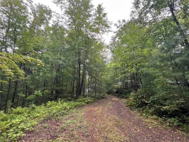 Stone Lake Land Real Estate