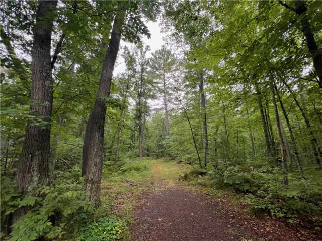 Stone Lake Land Real Estate