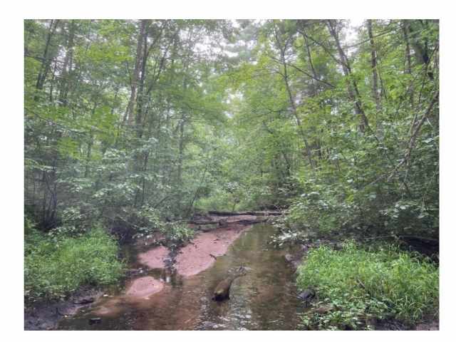 Stone Lake Land Real Estate