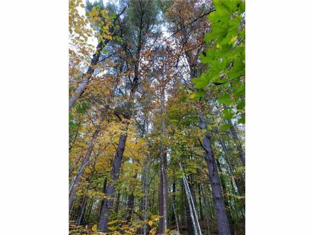 Stone Lake Land Real Estate