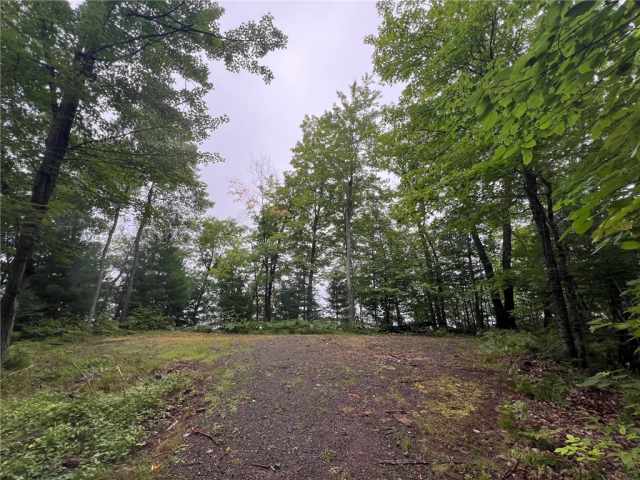 Stone Lake Land Real Estate