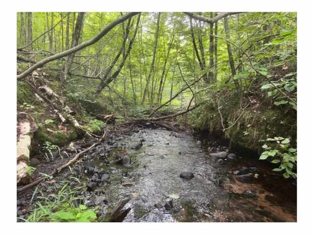 Stone Lake Land Real Estate