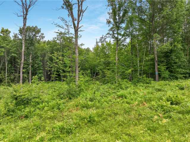 Spooner Land Real Estate