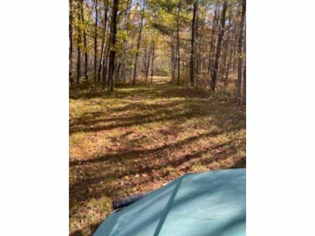 Spooner Land Real Estate