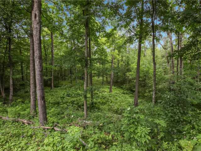 Spooner Land Real Estate