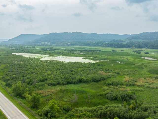 Alma Land Real Estate