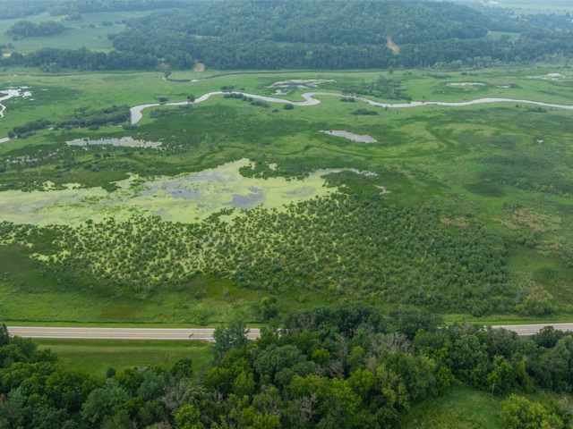 Alma Land Real Estate