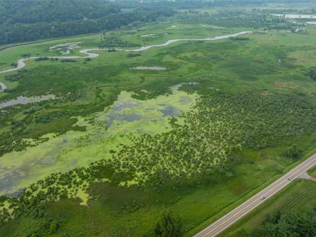 Alma Land Real Estate