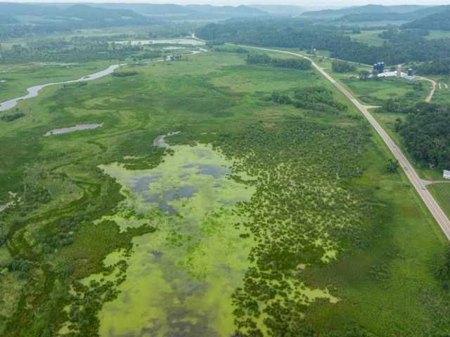 Alma Land Real Estate