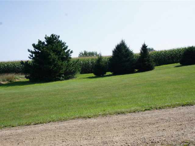 Mondovi Residential Real Estate
