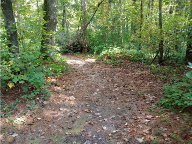 Black River Falls Residential Real Estate