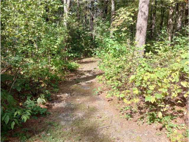 Black River Falls Residential Real Estate