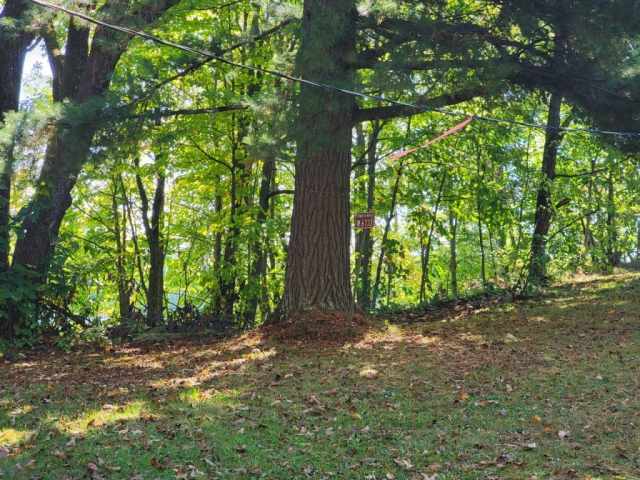 Winter Residential Real Estate