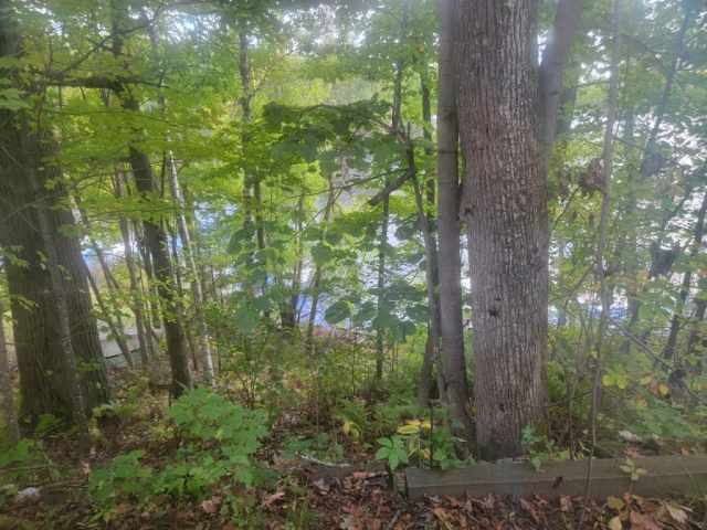 Winter Residential Real Estate