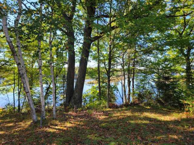 Winter Residential Real Estate