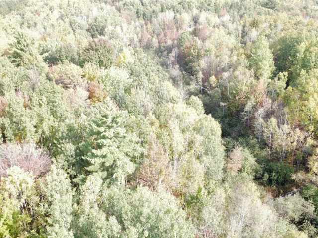 Granton Land Real Estate