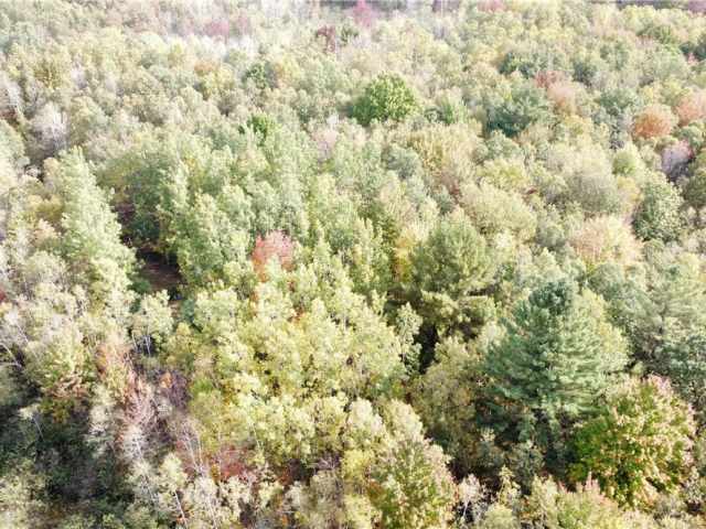 Granton Land Real Estate