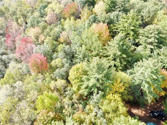 Granton Land Real Estate