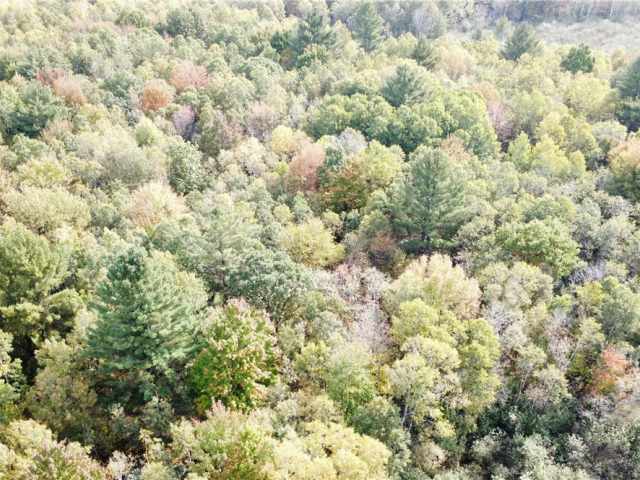 Granton Land Real Estate