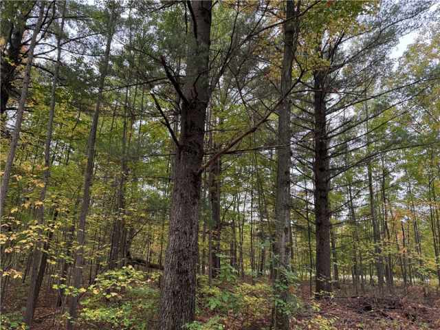 Granton Land Real Estate