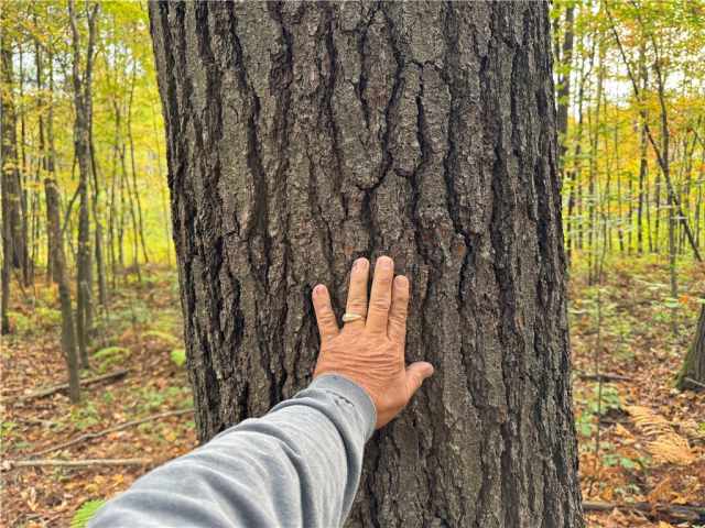 Granton Land Real Estate