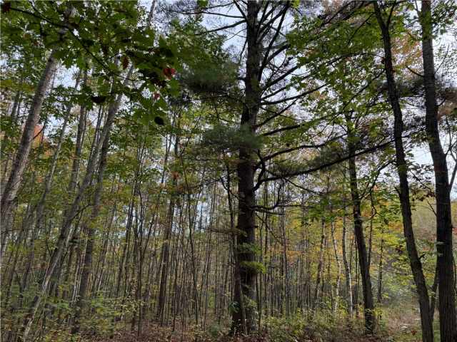 Granton Land Real Estate