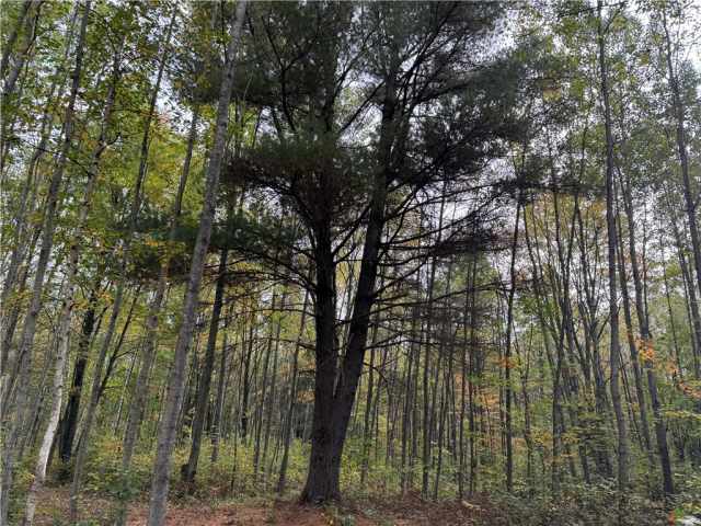 Granton Land Real Estate