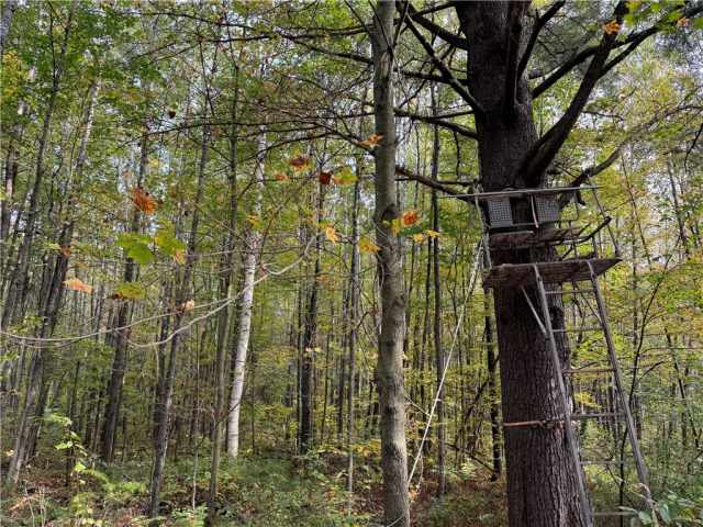 Granton Land Real Estate