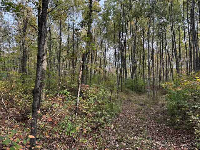 Granton Land Real Estate