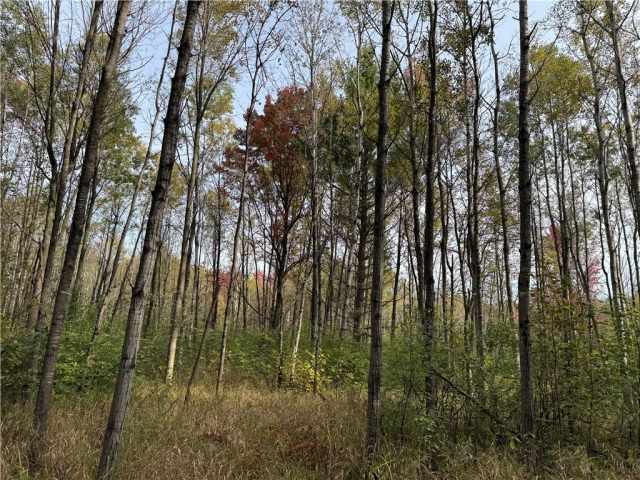 Granton Land Real Estate