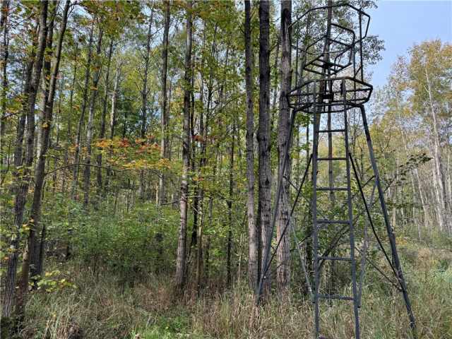 Granton Land Real Estate