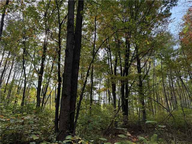 Granton Land Real Estate