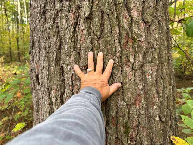 Granton Land Real Estate