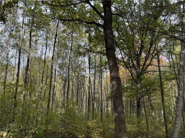 Granton Land Real Estate